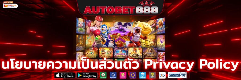 นโยบายความเป็นส่วนตัว